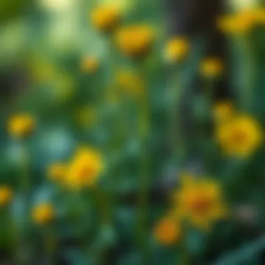 Magnificent Как растянуть легинсы: Полное руководство