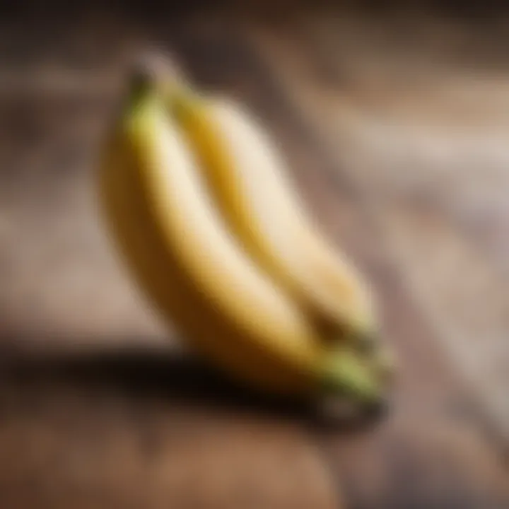 Close-up of a banana ready for feeding in a nibler.