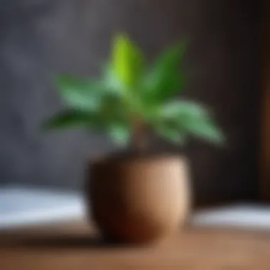 Themes of Growth and Learning in 'Barboskiny' Themes of growth and learning in 'Barboskiny'