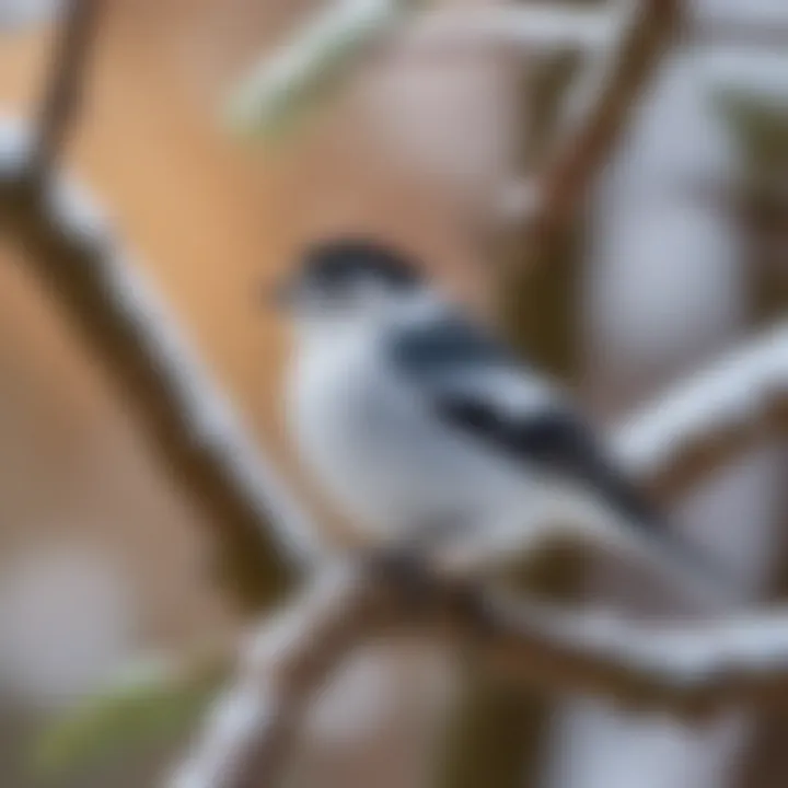 A serene environment depicting the natural habitat of the white-breasted bird.