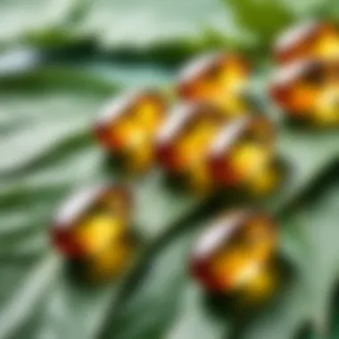 Close-up of fish oil capsules with a green leaf background