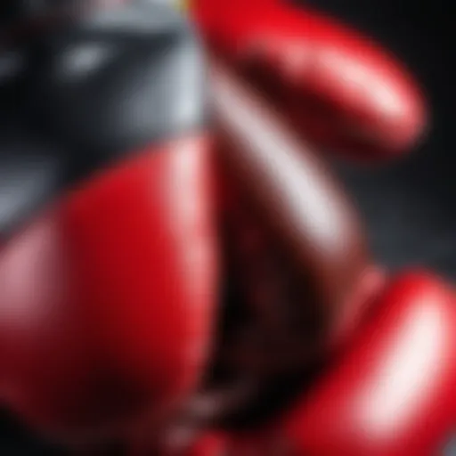 A close-up view of boxing glove materials showcasing leather and synthetic options.