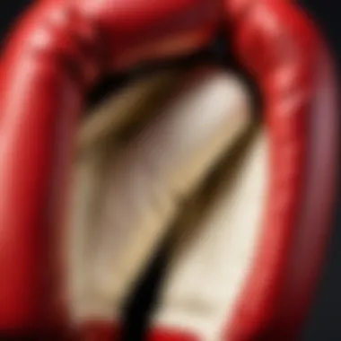 Understanding Padding and Support in Boxing Gloves Inside view of a boxing glove demonstrating padding and support structure.