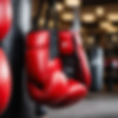 Boxing Gloves for Young Athletes: Safety and Quality Considerations A selection of boxing gloves tailored for young athletes with different designs.