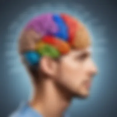 Understanding Emotional Intelligence A brain illustration highlighting emotional intelligence pathways