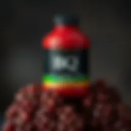 Бренд BQ: Узнаем больше о его сущности и значении Introduction