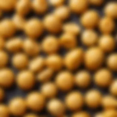 Healthy snacks enriched with soy lecithin for children Child-friendly snacks with soy lecithin as an ingredient