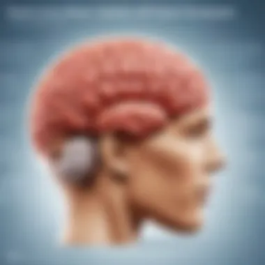 Choline's Role in Brain Development Infographic on choline benefits for brain development