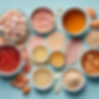 Exploring Various Types of Collagen Illustration of different collagen types