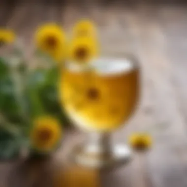 Symbolic representation of the themes in Dandelion Wine