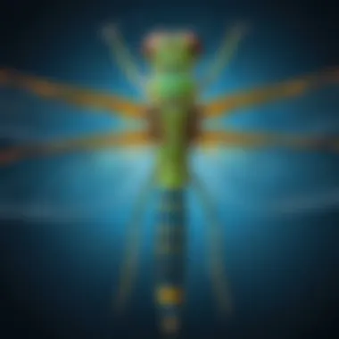 Illustration depicting the anatomy of a dragonfly