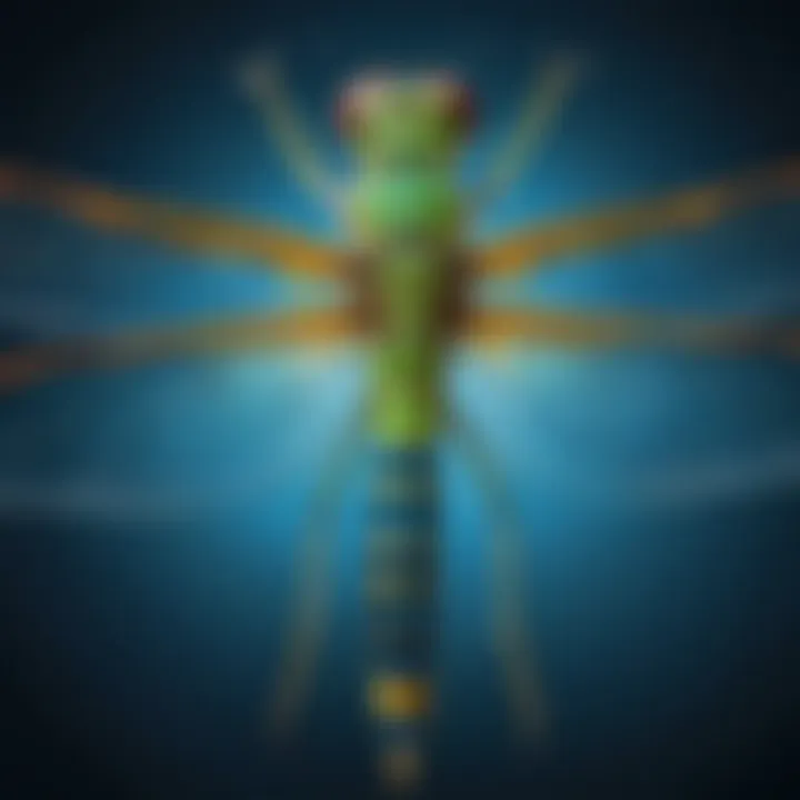 Illustration depicting the anatomy of a dragonfly