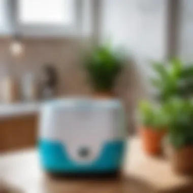 Showcasing Features of the Free Oxygen Cleaner Showcasing the unique features of the Free oxygen cleaner