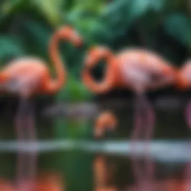 Vibrant Animated Scene with Flamingos Flamingos in a vibrant animated scene