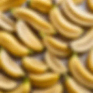 Soft Banana Slices for Easy Consumption Banana slices ready for a baby nibble