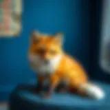 Где купить Babyfox: полное руководство для родителей Introduction Где купить Babyfox: полное руководство для родителей Introduction