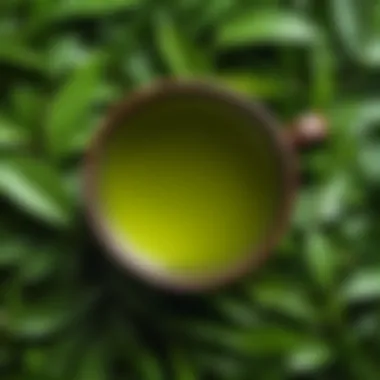 A serene scene of green tea surrounded by fresh leaves