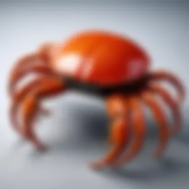 Elegant hair crab in a sophisticated design