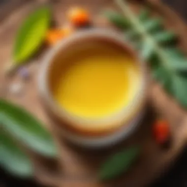 Exploring Natural Ingredients in Healing Ointment Natural ingredients used in healing ointment