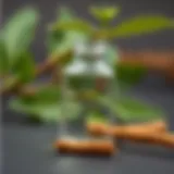 Hexyl Cinnamal: Понимание Сущности и Применения Introduction