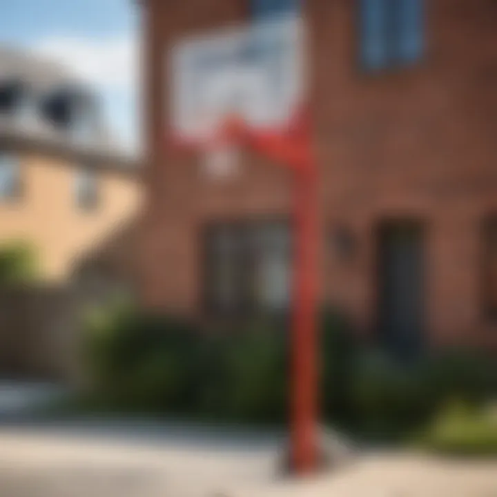 Historical evolution of basketball hoop height
