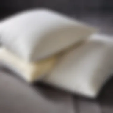 Comparison of pillows with and without holfitex filling