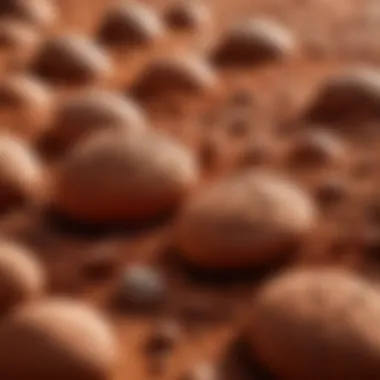 Exploring the Natural Properties of Clay Close-up of clay texture showcasing its natural properties