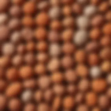 Diverse Types of Clay and Their Unique Traits Visual representation of various clay types and their characteristics
