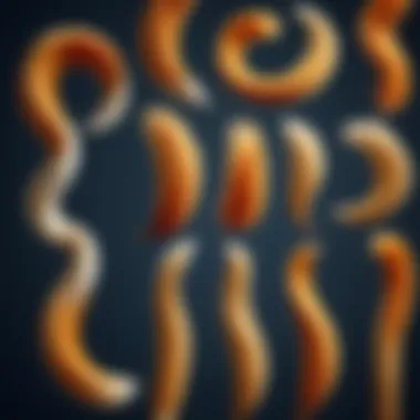 Stylization Techniques for Tails Stylized representation of various tail types