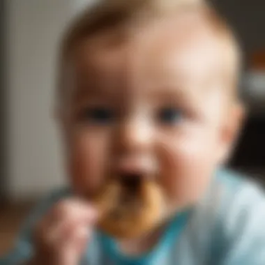 A close-up of a baby enjoying a crumbly cookie