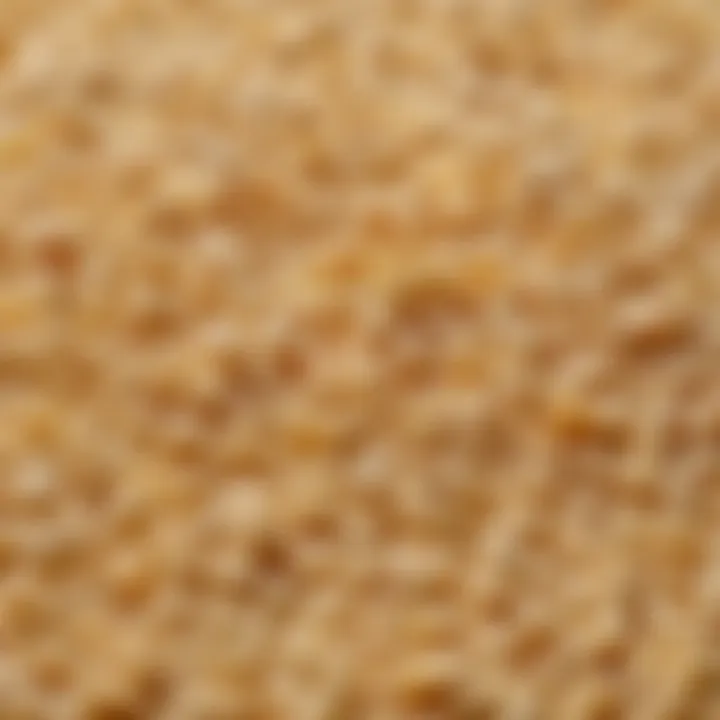 Close-up of grains used in infant cereal formulations