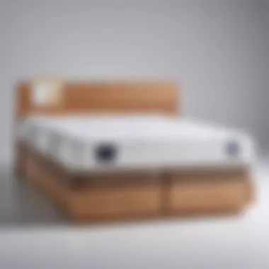 Price Comparison of Mattresses Infographic comparing mattress prices and features