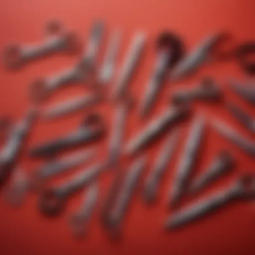Various types of nail scissors laid out for comparison