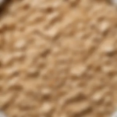 A bowl of oatmeal made with water, highlighting its texture and consistency