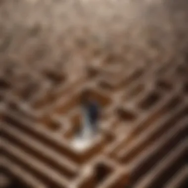 A person reflecting on their journey through a maze