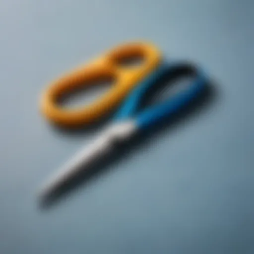 Close-up of baby-safe scissors designed for grooming.