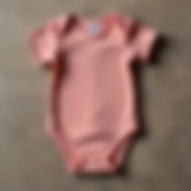 Comparative Features of Slip and Bodysuit Comparison of a baby slip and a bodysuit laid out side by side to highlight differences.
