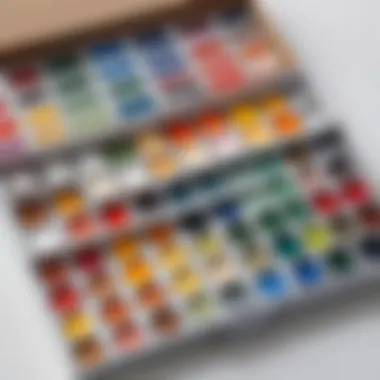 An organized storage box filled with gouache paints