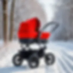 A stylish winter stroller in a snowy landscape