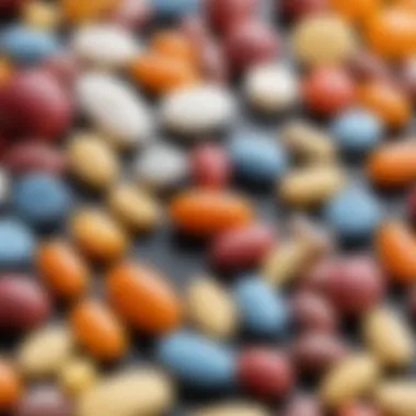 The Role of Vitamins and Magnesium B6 in Bodily Functions Introduction The Role of Vitamins and Magnesium B6 in Bodily Functions Introduction