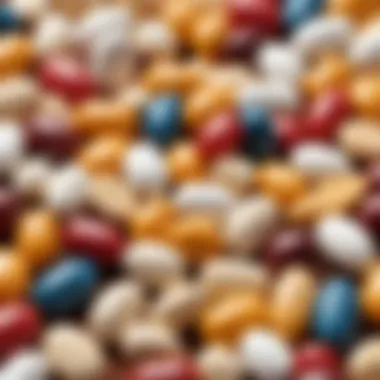 The Role of Vitamins and Magnesium B6 in Bodily Functions Summary The Role of Vitamins and Magnesium B6 in Bodily Functions Summary