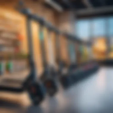 Variety of Electric Scooters: Choosing the Right One Different types of electric scooters displayed