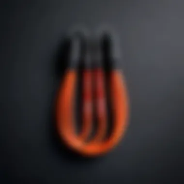 Jump Rope Price Comparison A detailed comparison chart of jump rope prices across brands