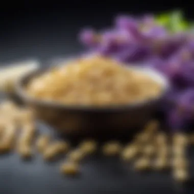 Nutritional Sources of Glycine Healthy food sources rich in glycine