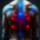 Выбор кальция для поддержки костей и суставов при остеопорозе Introduction Выбор кальция для поддержки костей и суставов при остеопорозе Introduction