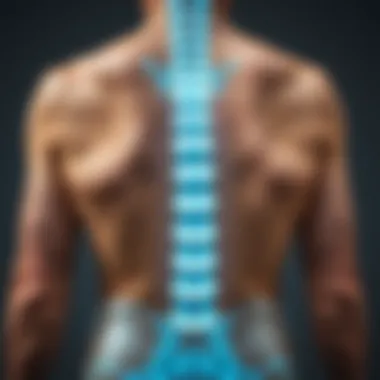 Выбор кальция для поддержки костей и суставов при остеопорозе Summary Выбор кальция для поддержки костей и суставов при остеопорозе Summary