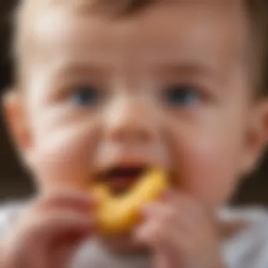 Close-up of an infant holding a nibbler