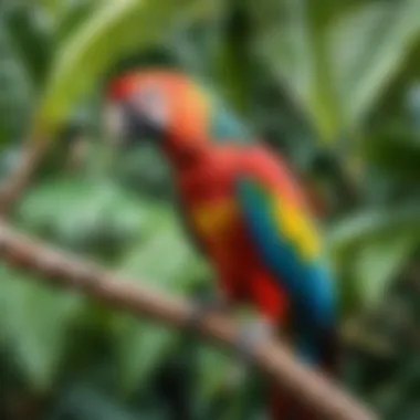 A colorful parrot perched on a tropical branch