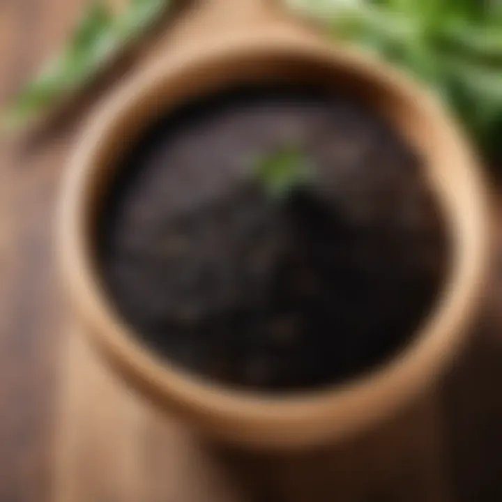 Organic black cumin seeds in a wooden bowl with herbs