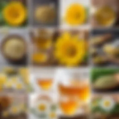 A collage of online stores displaying chamomile tea products